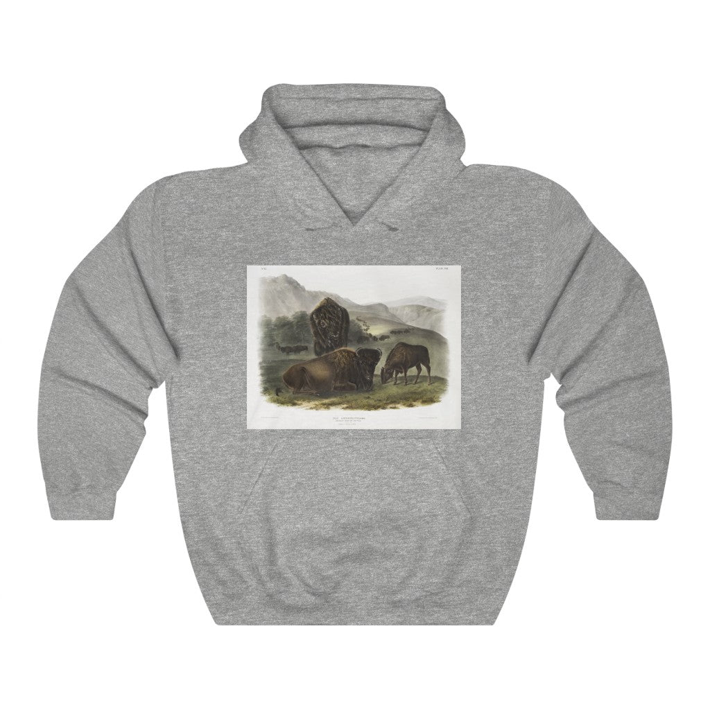 bison zoology Hooded Sweatshirt