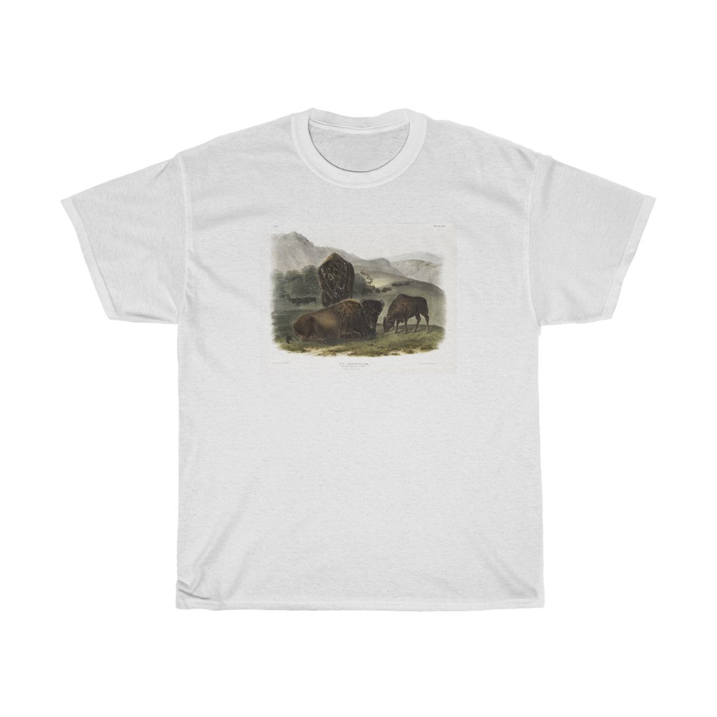 bison Zoology Heavy Cotton Tee