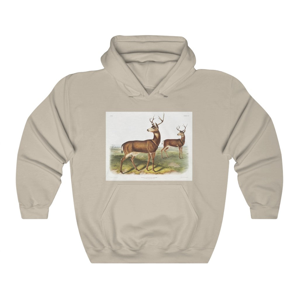 buck zoology Hooded Sweatshirt