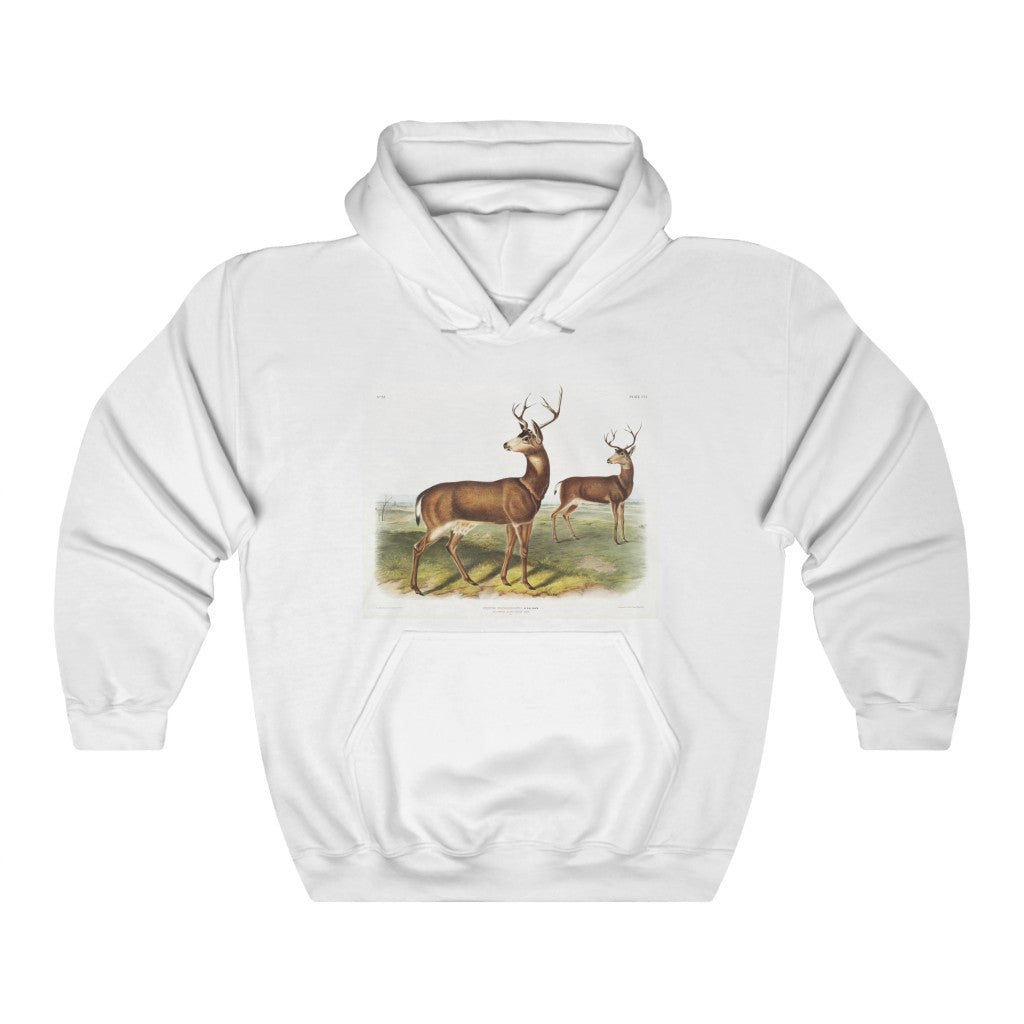 buck zoology Hooded Sweatshirt