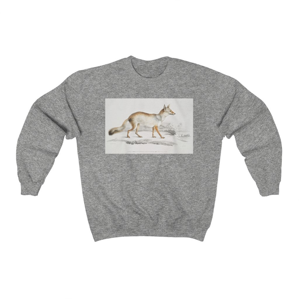 fox zoology Crewneck Sweatshirt