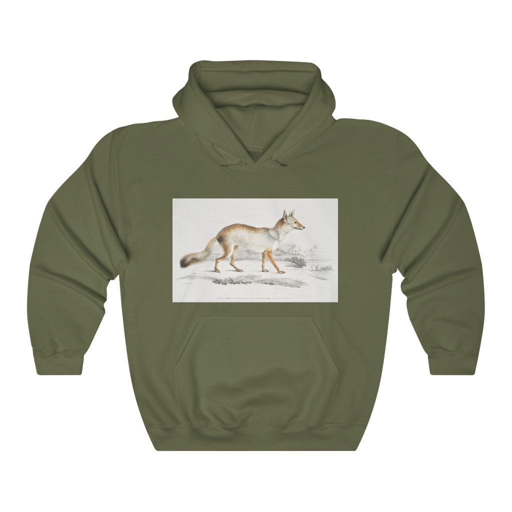 fox zoology Hooded Sweatshirt