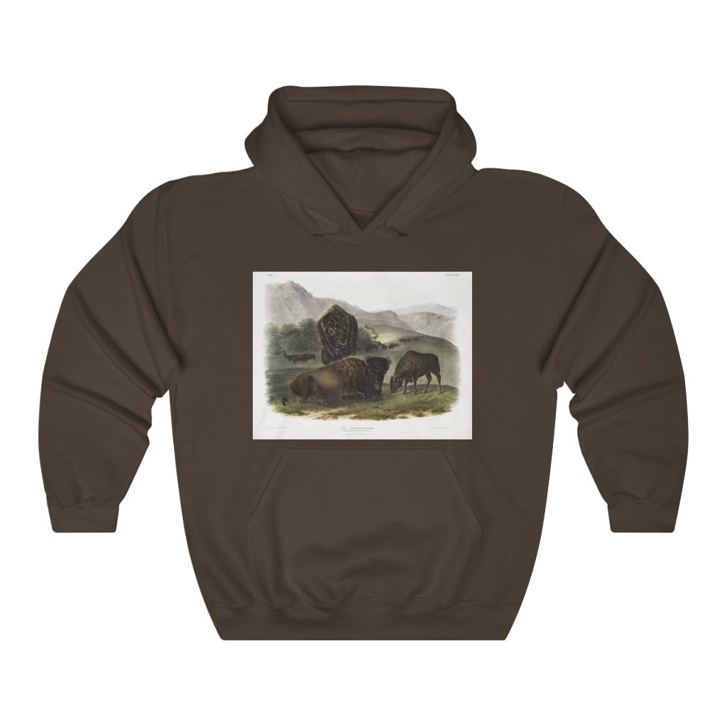 bison zoology Hooded Sweatshirt