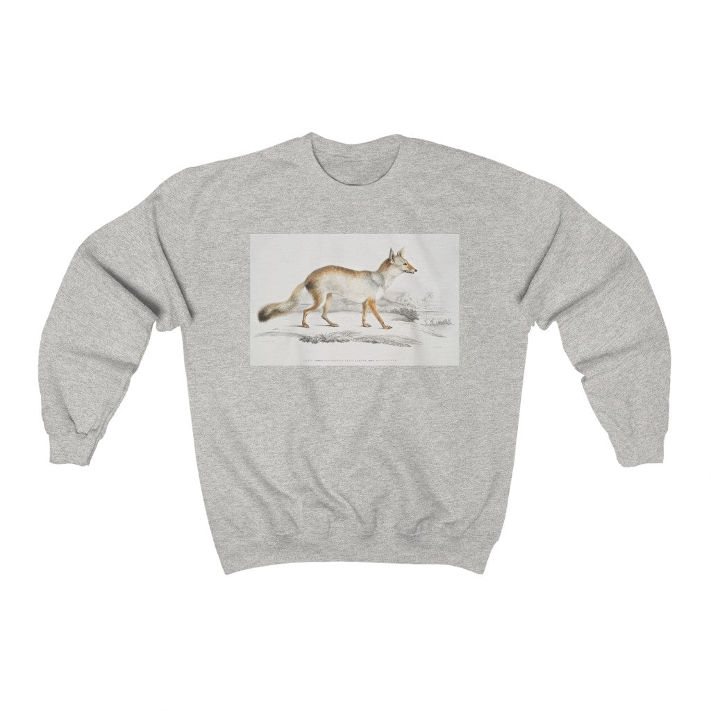 fox zoology Crewneck Sweatshirt