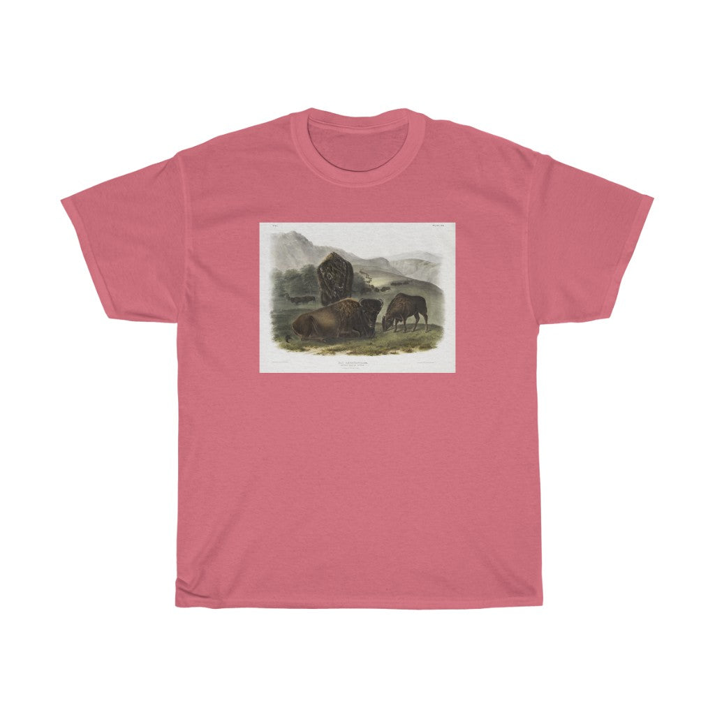 bison Zoology Heavy Cotton Tee