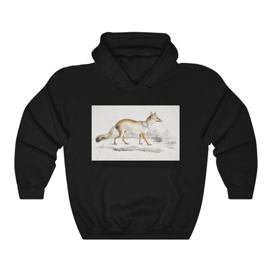 fox zoology Hooded Sweatshirt