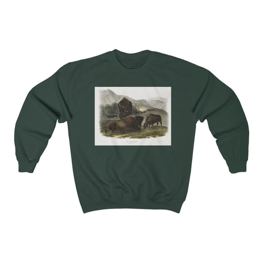 bison zoology Crewneck Sweatshirt